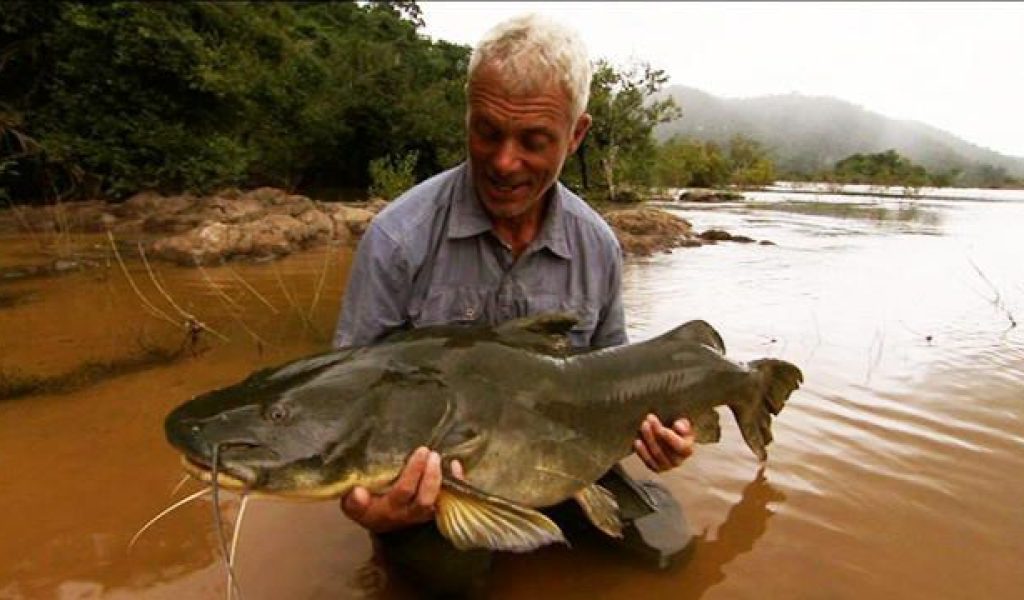 Los arqueólogos, para averiguar cuándo surgieron las normas bíblicas, ¡clasifican huesos de peces!