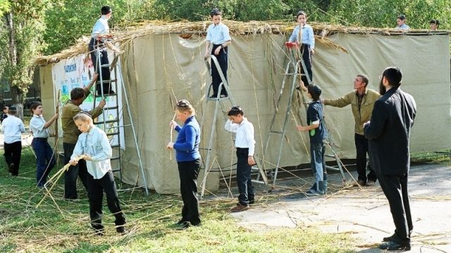 Hombres y niños construyendo una sukkah en Sukkot.